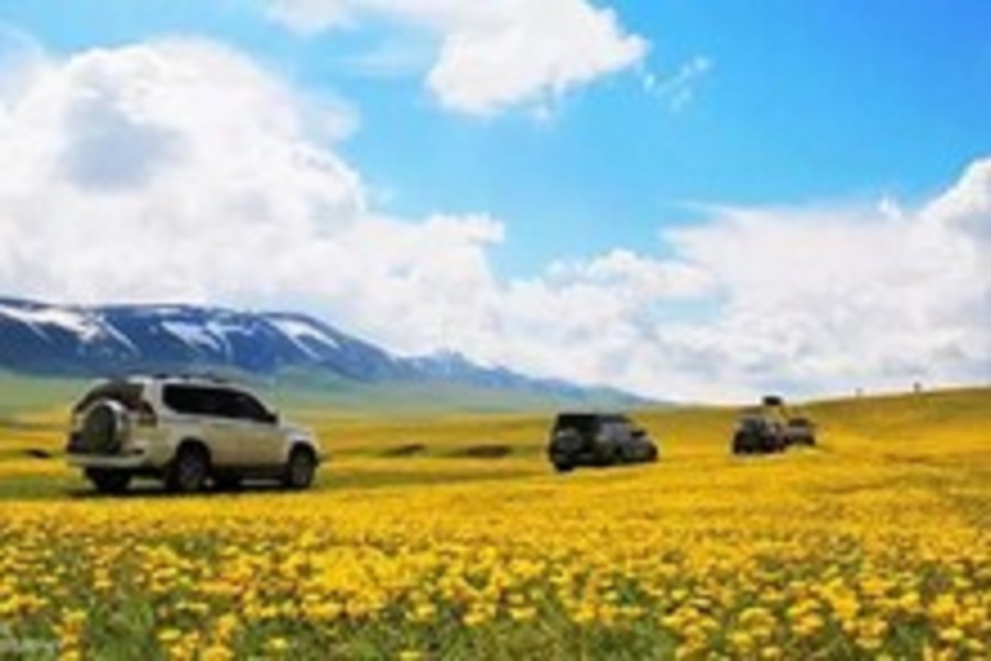 新疆这块连卫星地图都找不到的处女地，在这里将公开？