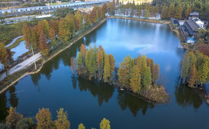 1606915540460_5fc795d4159bb8093b58a80b