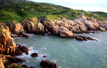 10080z000000nim9eF519_C_220_140