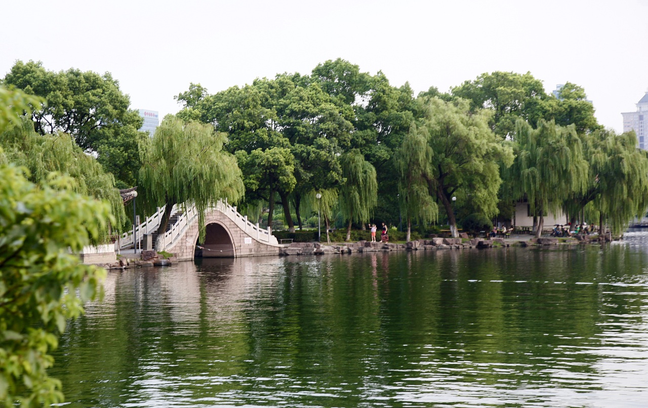 01e1a955502bf3000000592c825faf